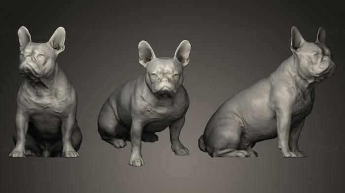 Статуэтки животных (Собака B20, STKJ_0239) 3D модель для ЧПУ станка